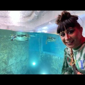 Meet your Posher, Berenice